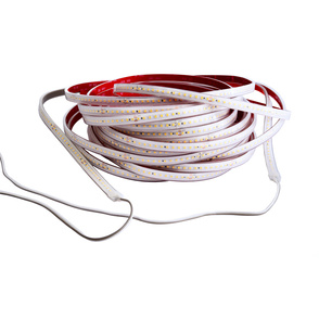LED Stripes ab IP44 bei Marco Bergdoll GmbH in Ludwigswinkel